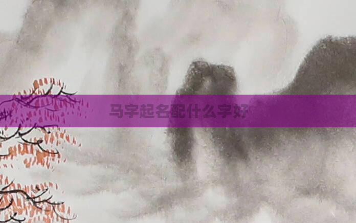 马字起名配什么字好