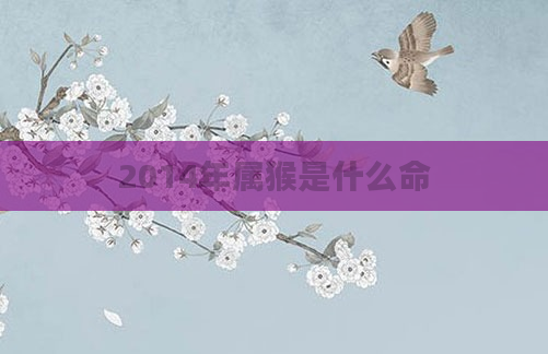 2014年属猴是什么命