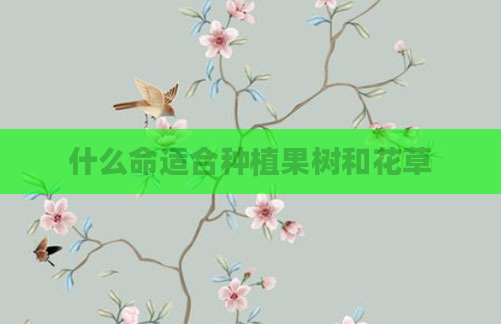 什么命适合种植果树和花草