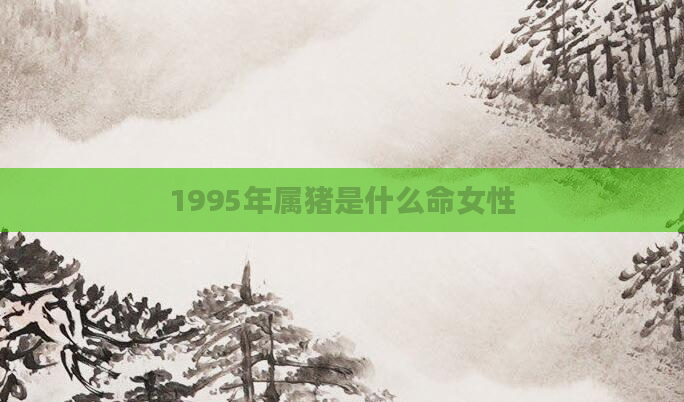 1995年属猪是什么命女性