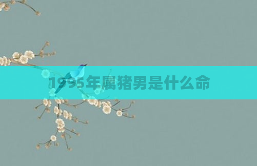 1995年属猪男是什么命