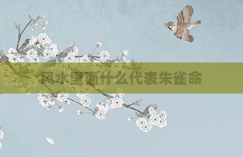 风水里面什么代表朱雀命