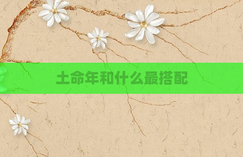 土命年和什么最搭配