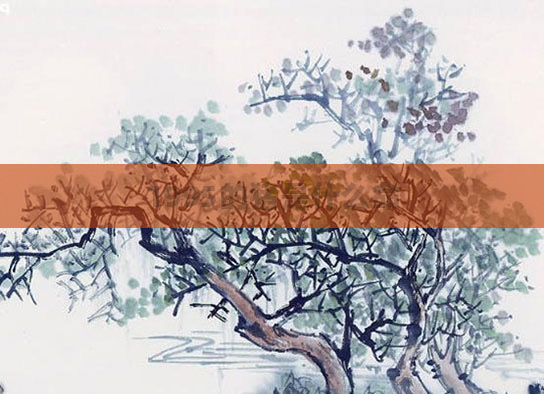 1995的猪是什么命