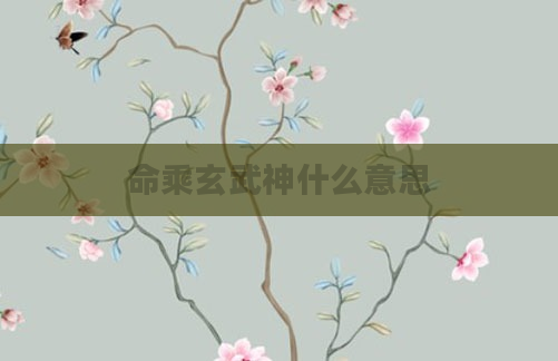 命乘玄武神什么意思