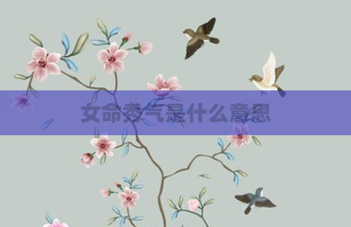女命秀气是什么意思