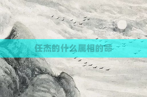 任杰的什么属相的命