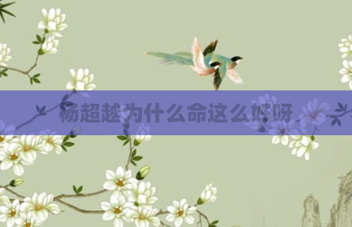 杨超越为什么命这么好呀