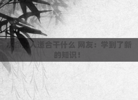 水命女人适合干什么 网友：学到了新的知识！