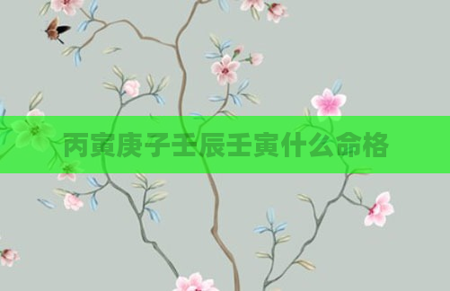 丙寅庚子壬辰壬寅什么命格