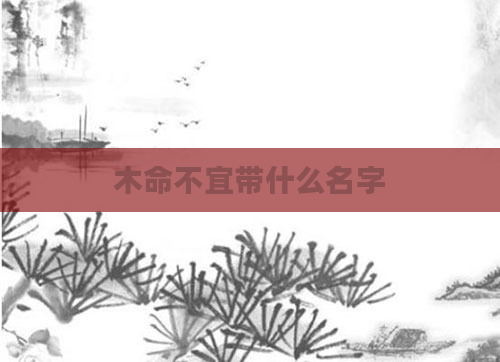 木命不宜带什么名字