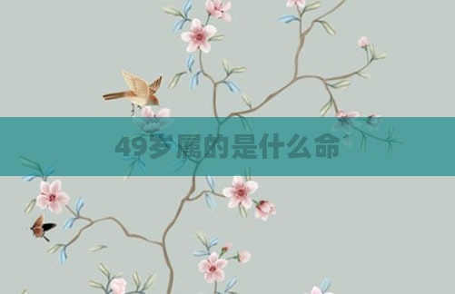 49岁属的是什么命