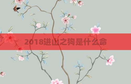 2018进山之狗是什么命