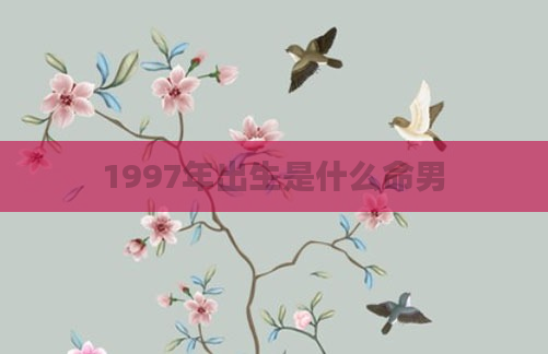 1997年出生是什么命男