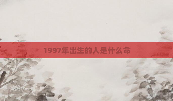1997年出生的人是什么命