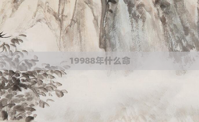 19988年什么命