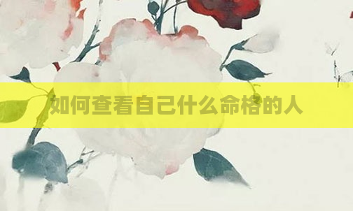 如何查看自己什么命格的人
