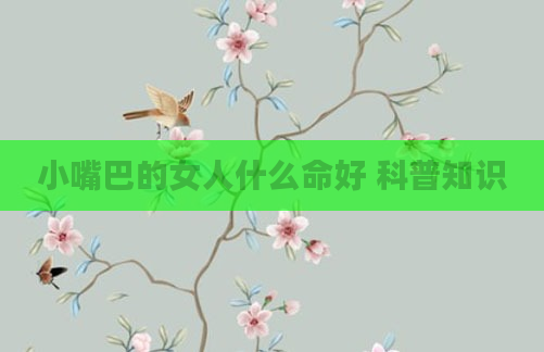 小嘴巴的女人什么命好 科普知识