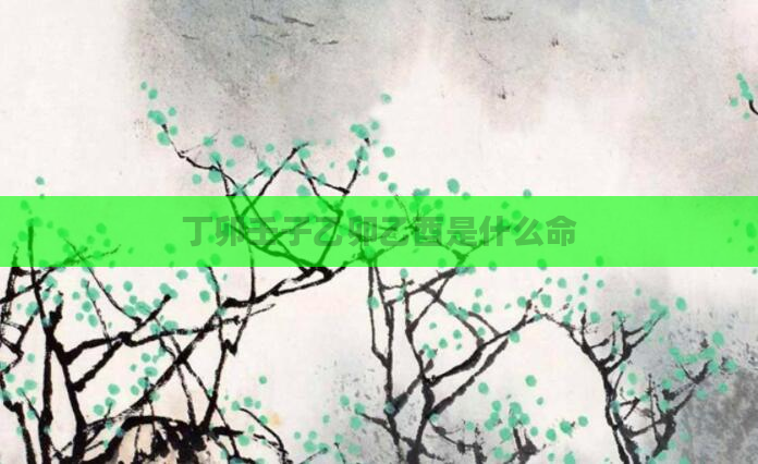 丁卯壬子乙卯乙酉是什么命