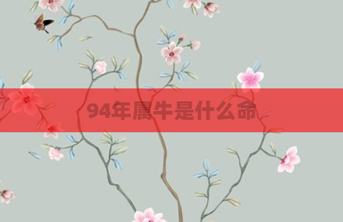 94年属牛是什么命