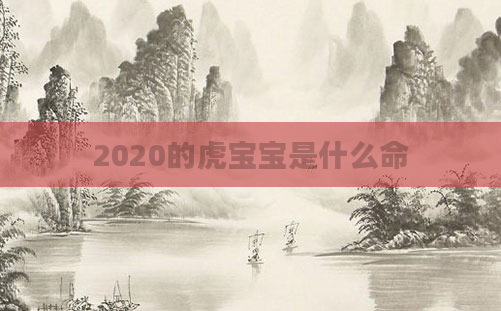 2020的虎宝宝是什么命