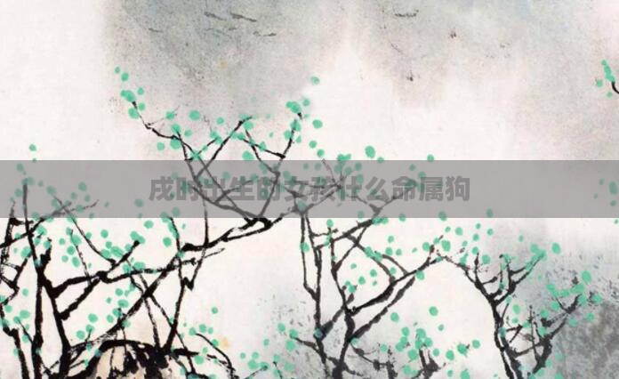 戌时出生的女孩什么命属狗