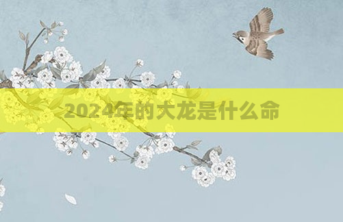 2024年的大龙是什么命