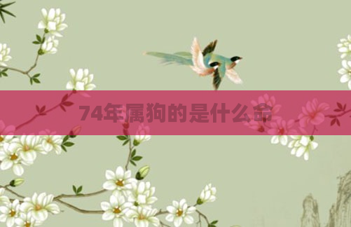 74年属狗的是什么命