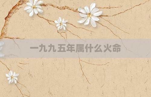 一九九五年属什么火命