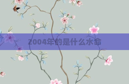 2004年的是什么水命