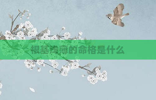 根基浅薄的命格是什么