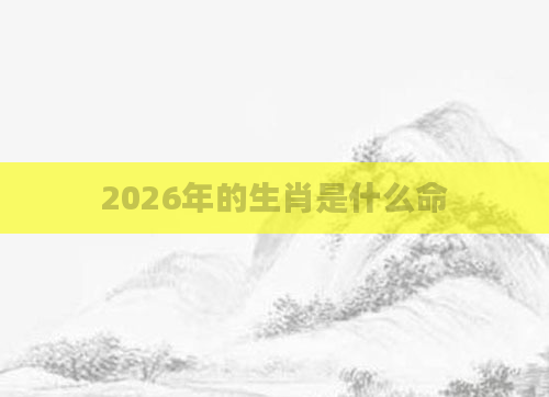 2026年的生肖是什么命