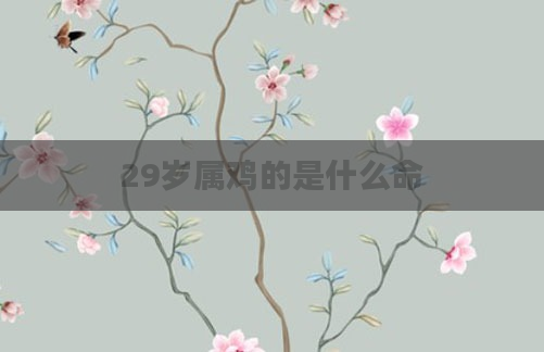 29岁属鸡的是什么命