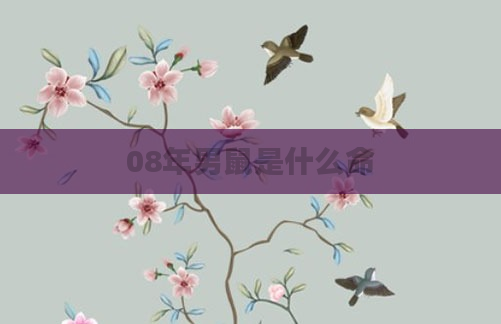 08年男鼠是什么命