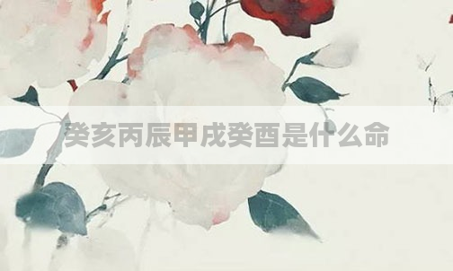 癸亥丙辰甲戌癸酉是什么命