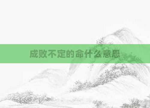 成败不定的命什么意思