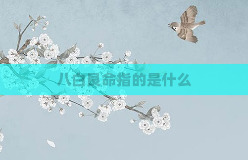 八白艮命指的是什么
