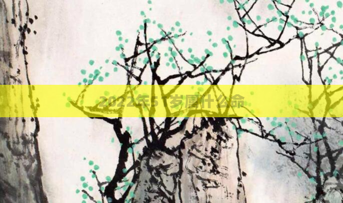 2022年51岁属什么命