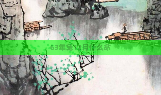 63年兔12月什么命