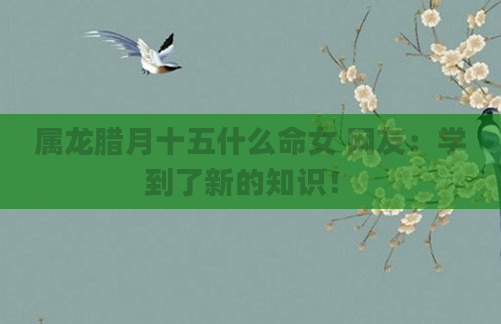 属龙腊月十五什么命女 网友：学到了新的知识！