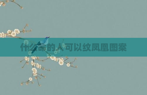 什么命的人可以纹凤凰图案