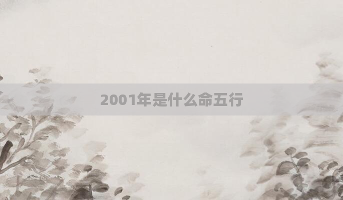 2001年是什么命五行