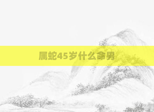 属蛇45岁什么命男