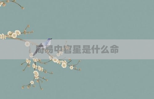 周易中官星是什么命