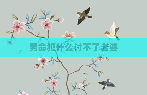 男命犯什么讨不了老婆