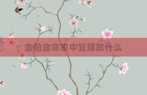 金铂金命家中宜摆放什么