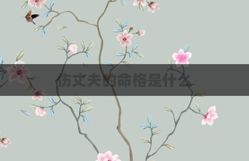 伤丈夫的命格是什么