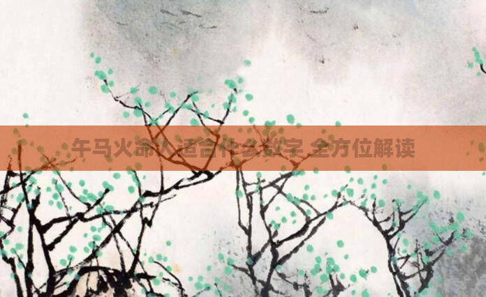 午马火命人适合什么数字 全方位解读