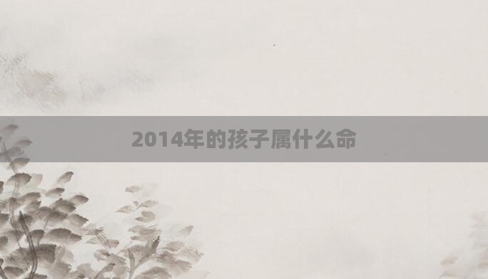 2014年的孩子属什么命