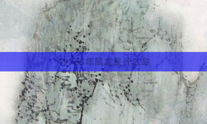 19765年属龙是什么命